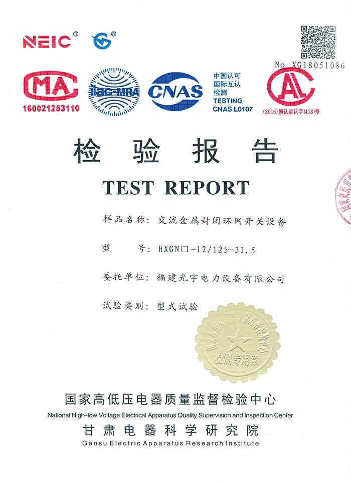 HXGN□-12/125-31.5  检验报告